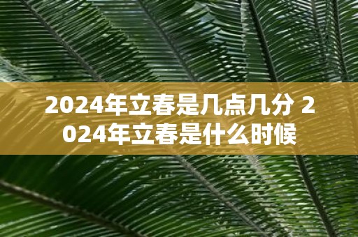 2025年立春是几点几分 2025年立春是什么时候