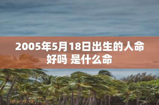 2005年5月18日出生的人命好吗 是什么命