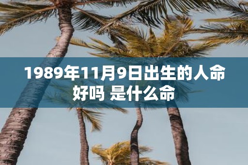 1989年11月9日出生的人命好吗 是什么命