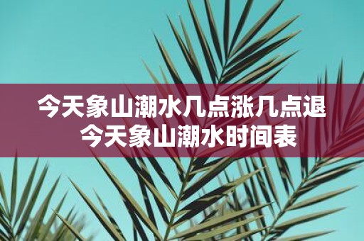 今天象山潮水几点涨几点退 今天象山潮水时间表