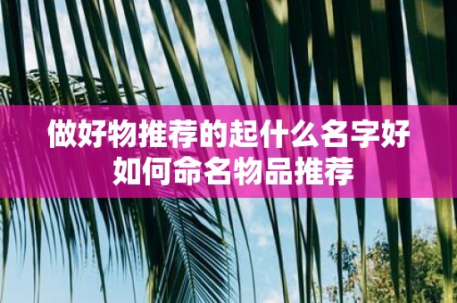 做好物推荐的起什么名字好 如何命名物品推荐