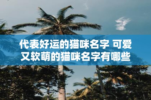 代表好运的猫咪名字 可爱又软萌的猫咪名字有哪些