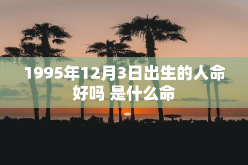 1995年12月3日出生的人命好吗 是什么命