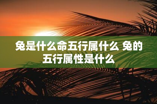 兔是什么命五行属什么 兔的五行属性是什么