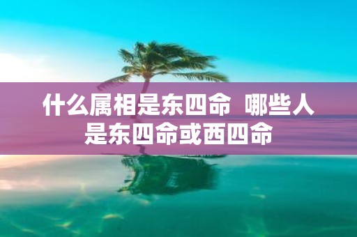 什么属相是东四命 哪些人是东四命或西四命