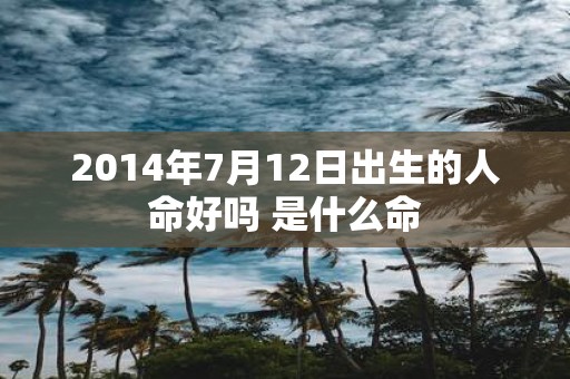 2014年7月12日出生的人命好吗 是什么命