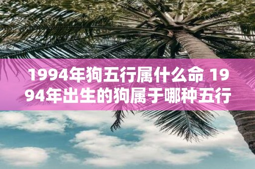 1994年狗五行属什么命 1994年出生的狗属于哪种五行命