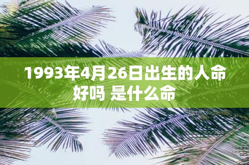 1993年4月26日出生的人命好吗 是什么命