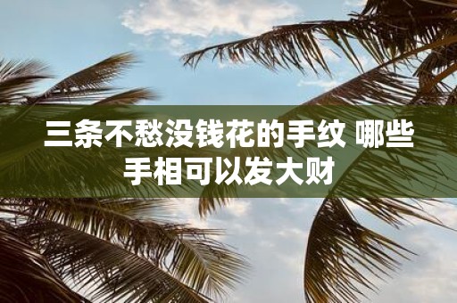 三条不愁没钱花的手纹 哪些手相可以发大财