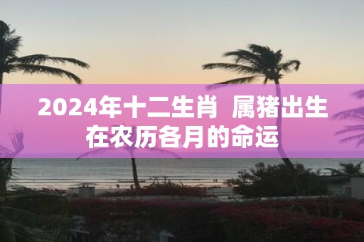 2025年十二生肖 属猪出生在农历各月的命运