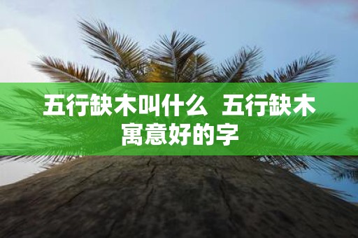 五行缺木叫什么 五行缺木寓意好的字