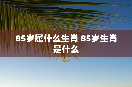 85岁属什么生肖 85岁生肖是什么
