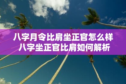 八字月令比肩坐正官怎么样 八字坐正官比肩如何解析