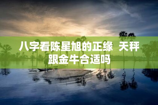 八字看陈星旭的正缘 天秤跟金牛合适吗