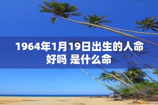 1964年1月19日出生的人命好吗 是什么命