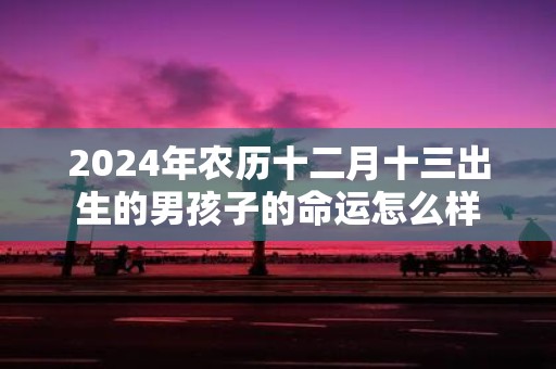 2025年农历十二月十三出生的男孩子的命运怎么样