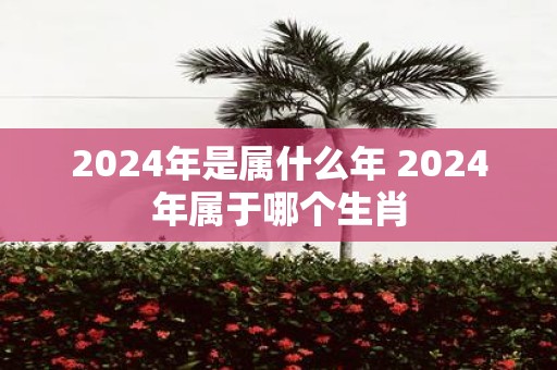 2025年是属什么年 2025年属于哪个生肖