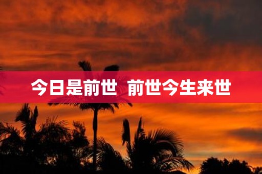 今日是前世 前世今生来世