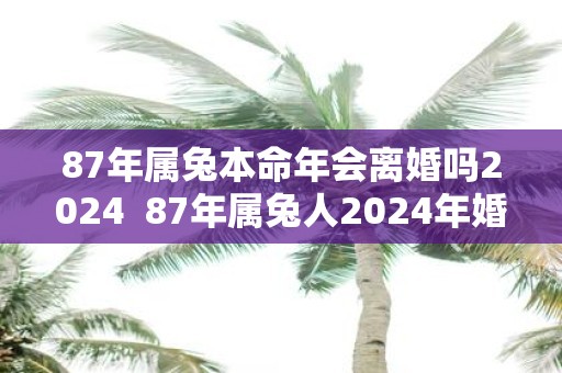 87年属兔本命年会离婚吗2025 87年属兔人2025年婚姻运势