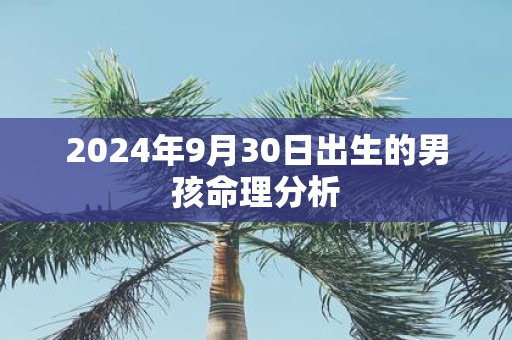 2025年9月30日出生的男孩命理分析