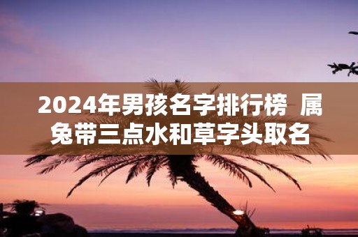 2025年男孩名字排行榜 属兔带三点水和草字头取名