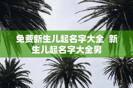 免费新生儿起名字大全 新生儿起名字大全男
