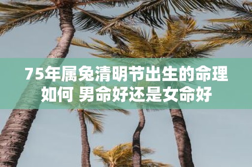 75年属兔清明节出生的命理如何 男命好还是女命好