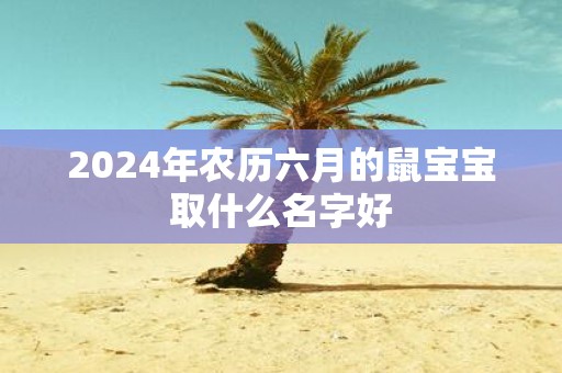 2025年农历六月的鼠宝宝取什么名字好