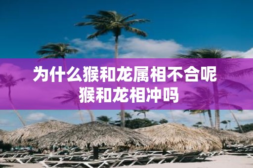为什么猴和龙属相不合呢 猴和龙相冲吗