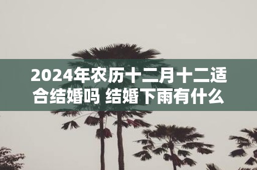 2025年农历十二月十二适合结婚吗 结婚下雨有什么说法
