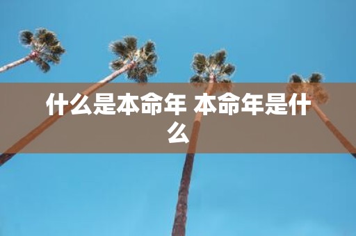 什么是本命年 本命年是什么