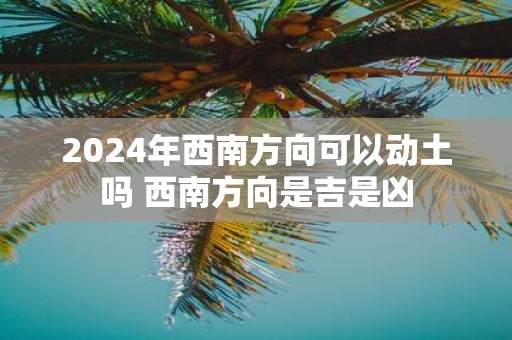 2025年西南方向可以动土吗 西南方向是吉是凶