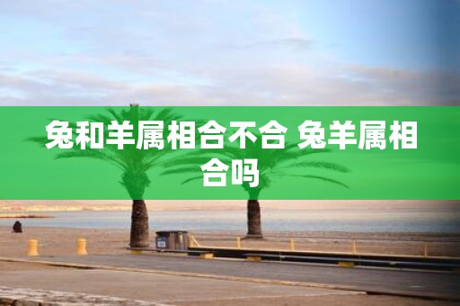 兔和羊属相合不合 兔羊属相合吗