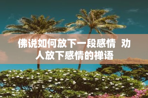 佛说如何放下一段感情 劝人放下感情的禅语