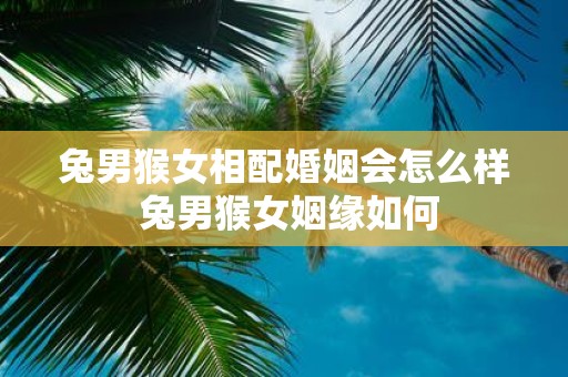 兔男猴女相配婚姻会怎么样 兔男猴女姻缘如何