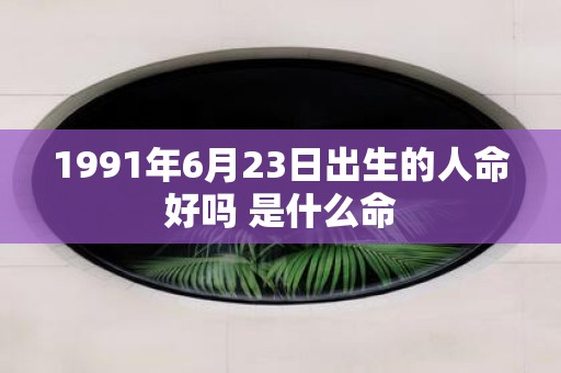 1991年6月23日出生的人命好吗 是什么命