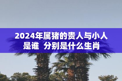 2025年属猪的贵人与小人是谁 分别是什么生肖