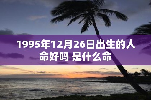 1995年12月26日出生的人命好吗 是什么命