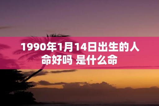 1990年1月14日出生的人命好吗 是什么命