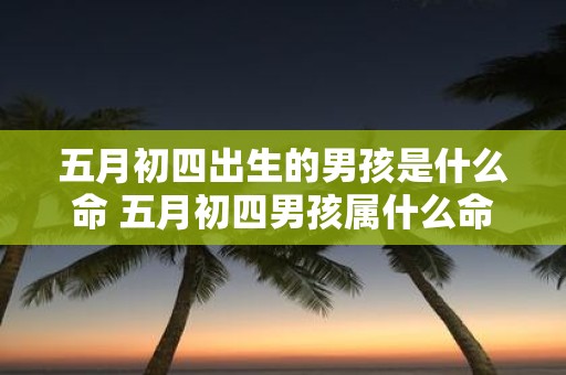 五月初四出生的男孩是什么命 五月初四男孩属什么命