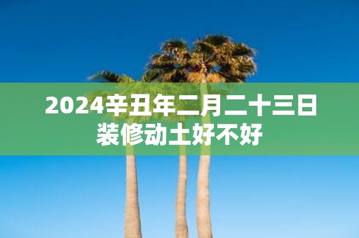 2025辛丑年二月二十三日装修动土好不好