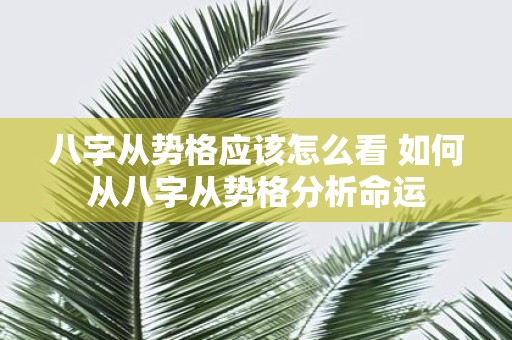 八字从势格应该怎么看 如何从八字从势格分析命运