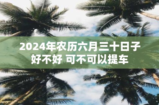 2025年农历六月三十日子好不好 可不可以提车