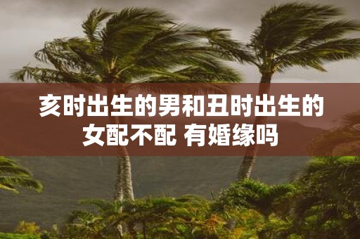 亥时出生的男和丑时出生的女配不配 有婚缘吗