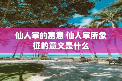 仙人掌的寓意 仙人掌所象征的意义是什么