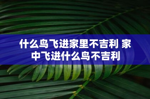 什么鸟飞进家里不吉利 家中飞进什么鸟不吉利
