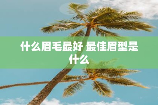 什么眉毛最好 最佳眉型是什么