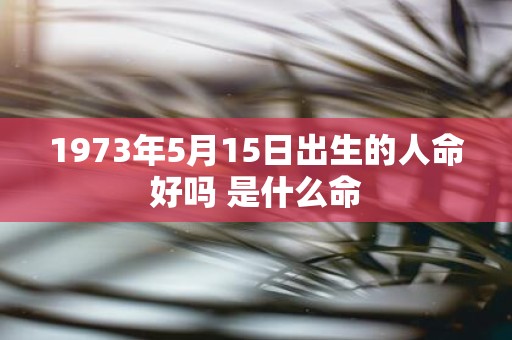 1973年5月15日出生的人命好吗 是什么命