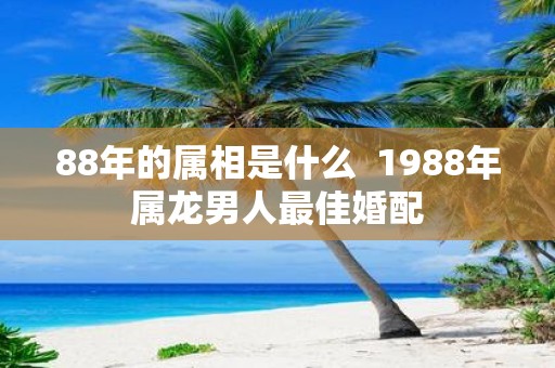 88年的属相是什么  1988年属龙男人最佳婚配