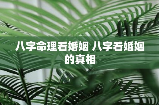 八字命理看婚姻 八字看婚姻的真相